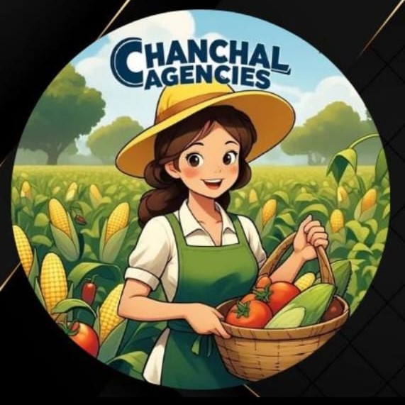 Chanchal Seeds Share Business Card